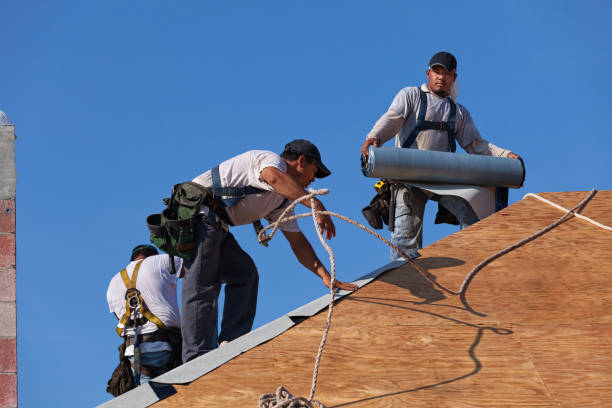 Best New Roof Installation  in Vernonia, OR