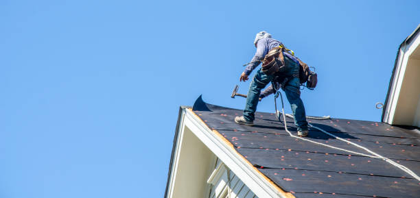 Best Roof Maintenance Services  in Vernonia, OR
